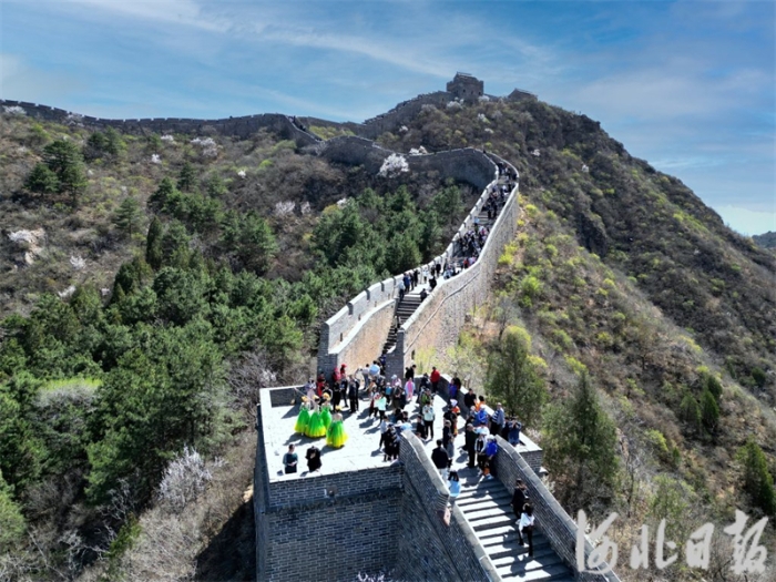 金山嶺長城第十一屆杏花節(jié)6.jpg