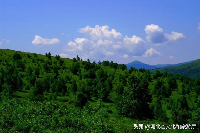 縱情草原 歡樂河北 | 草原觀星，浪漫加倍！