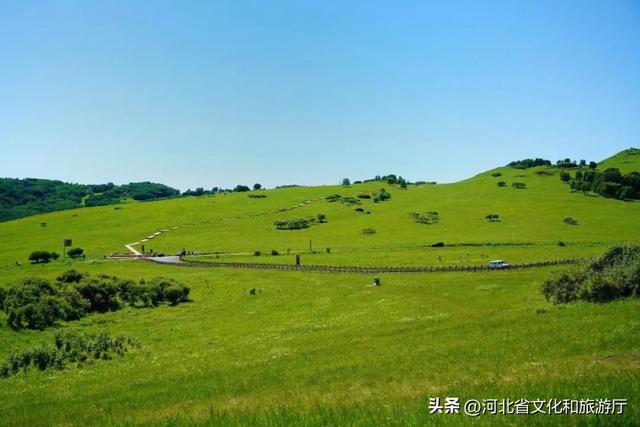 縱情草原 暢玩河北 | 極致盛夏，這樣的御道口草原你看過(guò)嗎？