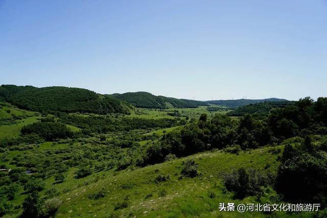 縱情草原 暢玩河北 | 極致盛夏，這樣的御道口草原你看過(guò)嗎？