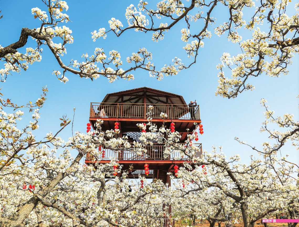 上新！人間最美四月天，河北重點(diǎn)文化活動(dòng)月歷帶你暢享春日好時(shí)光